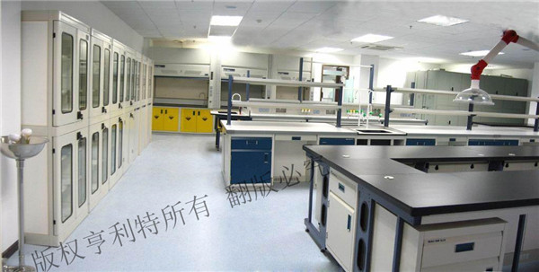 91免费在线APP实验台